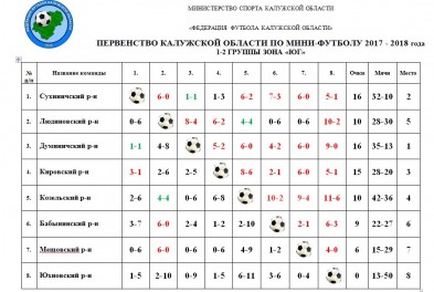 Сборная Думиничского района по мини-футболу с 1 места вышла в финал первенства области 