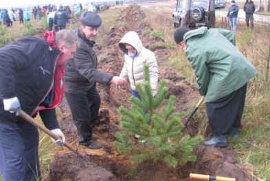 В 2017 году в Калужской области посажено более 788 тысяч саженцев деревьев