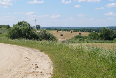 Сельхозпредприятия и фермеры Думиничского района не снижают темпов зелёной жатвы